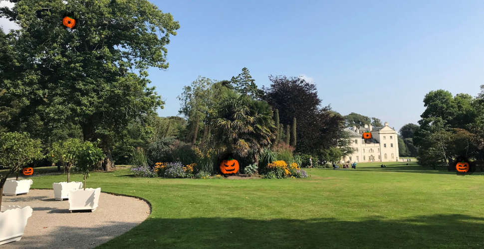 Pumpkin Trail at Saltram